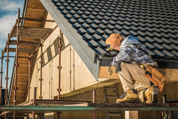 Roof Gutter Cleaning in Grant Park, IL