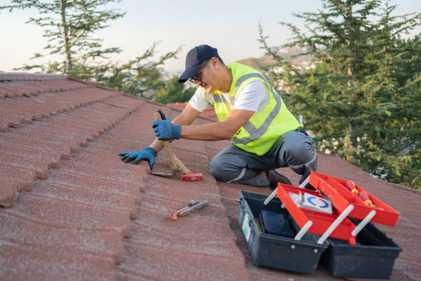Roof Waterproofing Services in Grant Park, IL