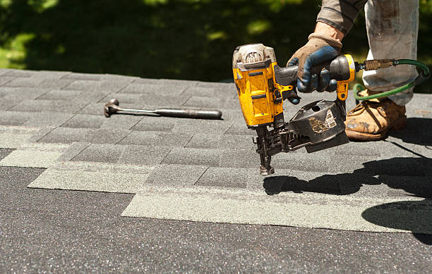Best Roof Gutter Cleaning  in Grant Park, IL