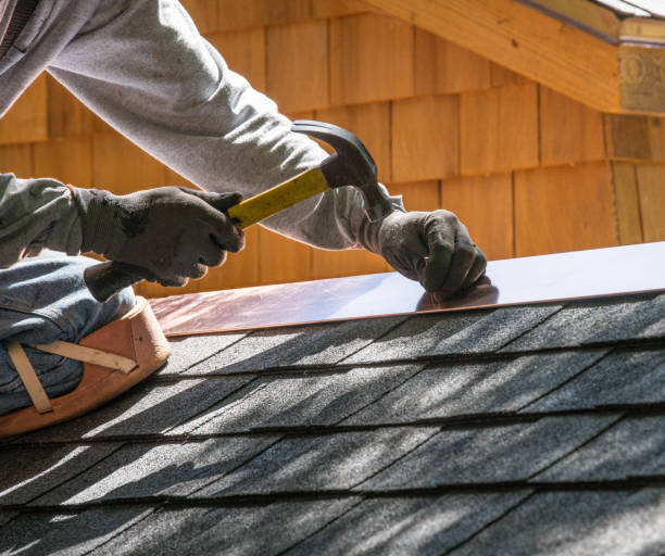 Best Roof Waterproofing Services  in Grant Park, IL